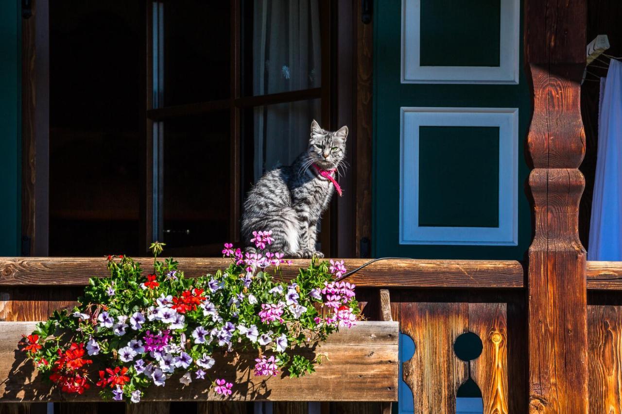NONNA PINA Appartamento PUTTI - STUBE Padola Exterior foto